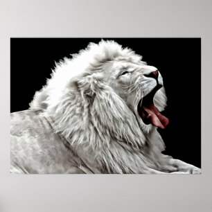 White lion head jungle animals digital abstract  poster