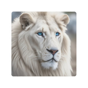 White Lion Metal Print