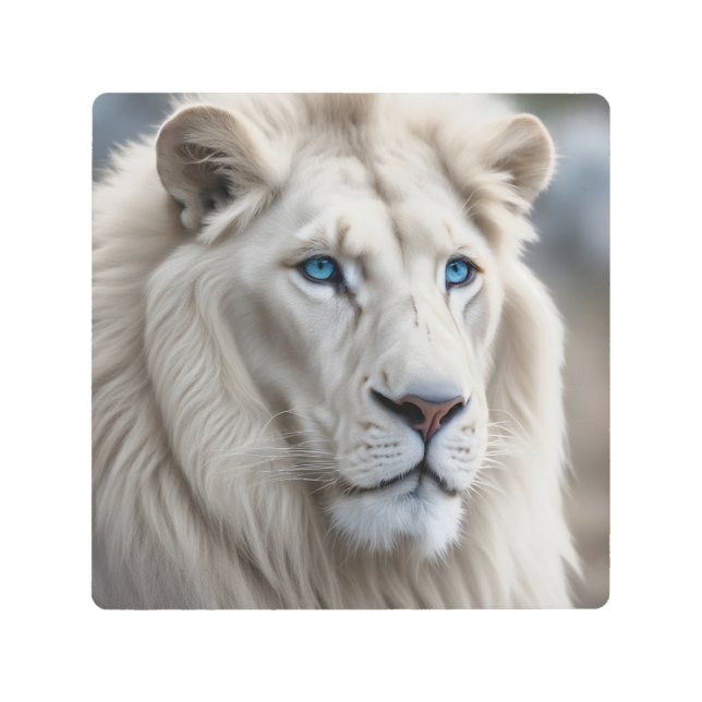 White Lion Metal Print (Front)