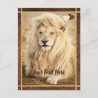 White Lion Photo Custom Postcard