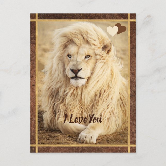 White Lion Photo I Love You Postcard (Front)