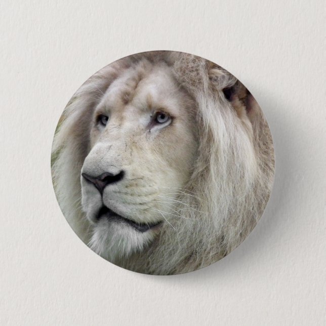 White lion pinback button (Front)