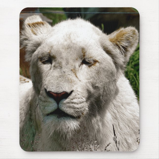 WHITE LIONS MOUSE PAD (Front)