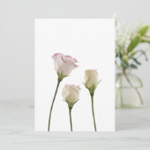 white lisianthus flowers, trio (Standing Front)