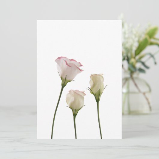 white lisianthus flowers, trio (Standing Front)