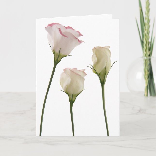 white lisianthus flowers, trio card (Front)