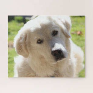 White Livestock Guardian Dog Maremma Jigsaw Puzzle