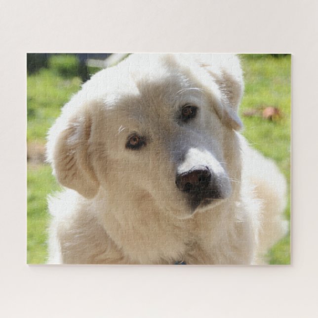 White Livestock Guardian Dog Maremma  Jigsaw Puzzle (Horizontal)