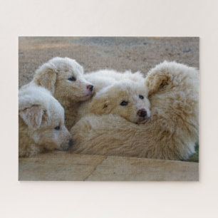 White Livestock Guardian Dog Puppies Jigsaw Puzzle