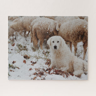 White Livestock Guardian Dog with Sheep Jigsaw Puzzle