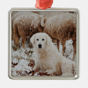 White Livestock Guardian Dog with Sheep Metal Ornament