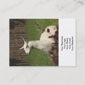 White Llama Business Card