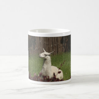White Llama Color Morph Mug