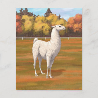 White Llama in Autumn Farm Pasture