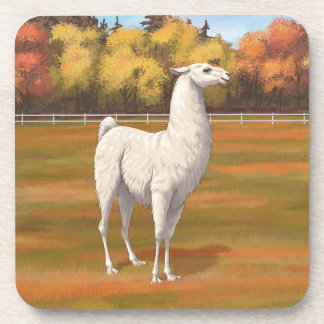 White Llama in Autumn Farm Pasture Beverage Coaster