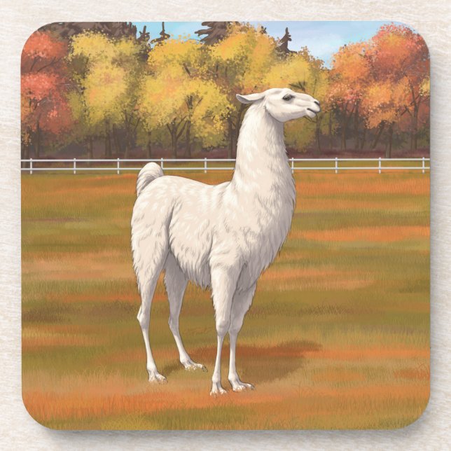 White Llama in Autumn Farm Pasture Beverage Coaster (Front)