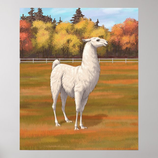 White Llama in Autumn Farm Pasture Poster (Front)