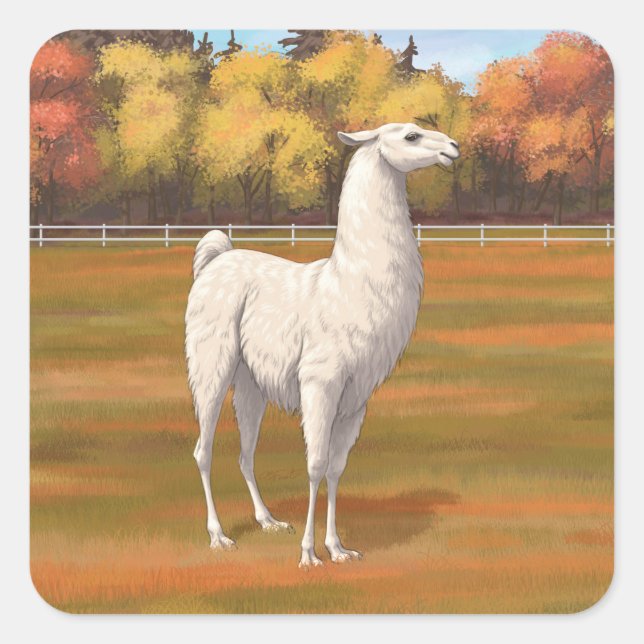 White Llama in Autumn Farm Pasture Square Sticker (Front)