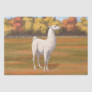 White Llama in Autumn Farm Pasture Tissue Paper
