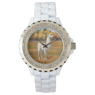 White Llama in Autumn Farm Pasture Watch