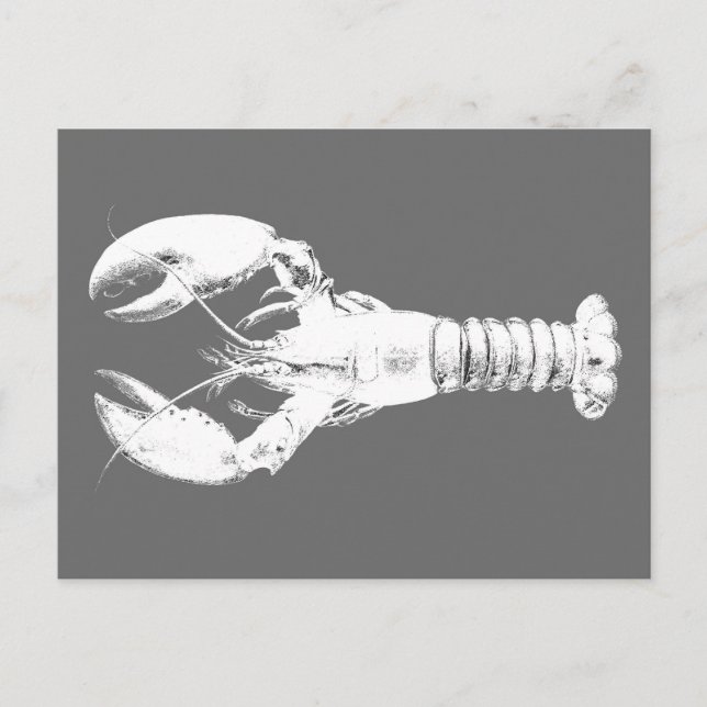 White Lobster on Gray / Grey Postcard (Front)