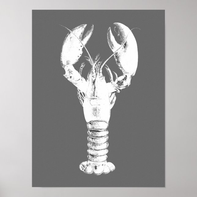 White Lobster on Gray / Grey Poster (Front)