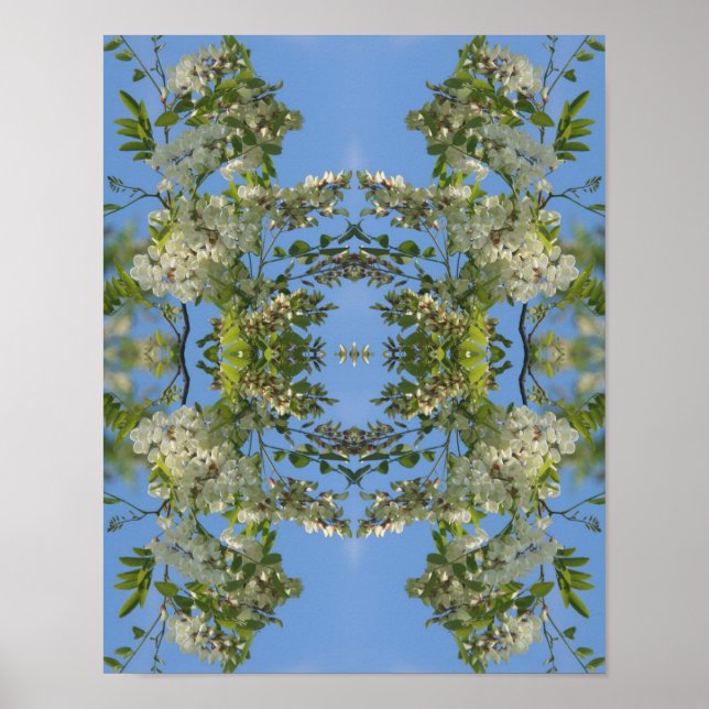 White Locust Flower Blossoms Abstract  Poster (Front)