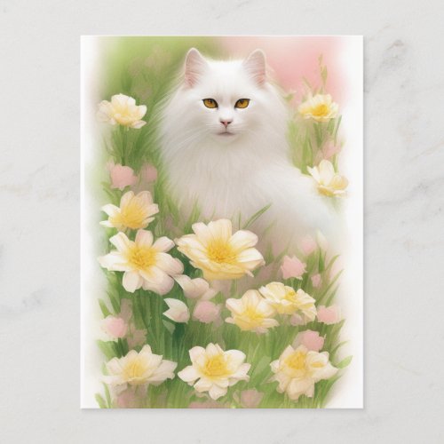 White Long Haired Cat  Postcard
