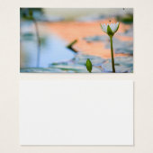 White lotus (Front & Back)