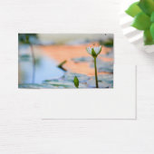 White lotus (Desk)