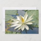 White lotus (Front)