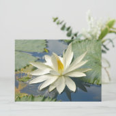 White lotus (Standing Front)