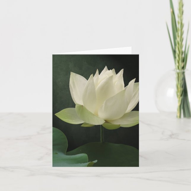 White Lotus Blossom Floral Notecard (Front)
