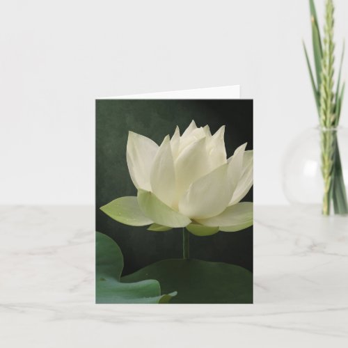 White Lotus Blossom Floral Notecard