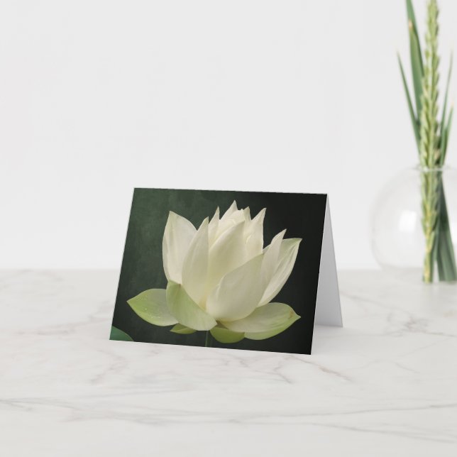 White Lotus Blossom Floral Notecard (Front)