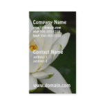 White Lotus Business Card