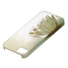 White Lotus