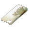 White Lotus