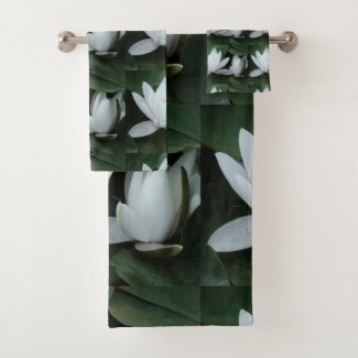 White lotus flower, botanical photo.