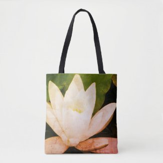 White lotus flower, botanical photo