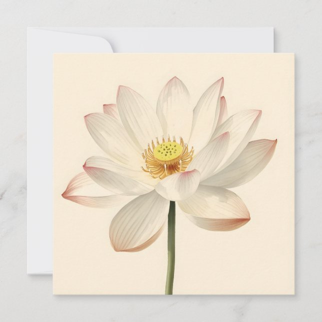 White Lotus Flower Card (Front)