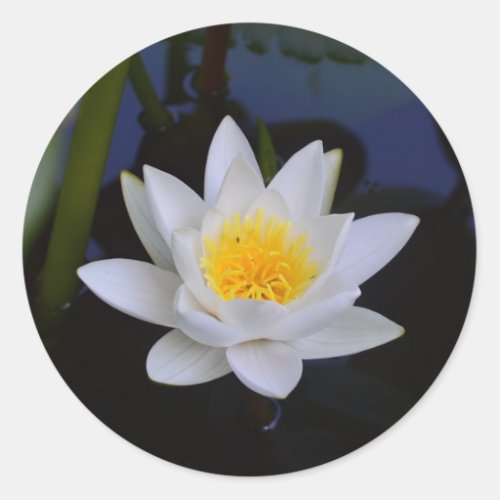 White Lotus Flower Classic Round Sticker