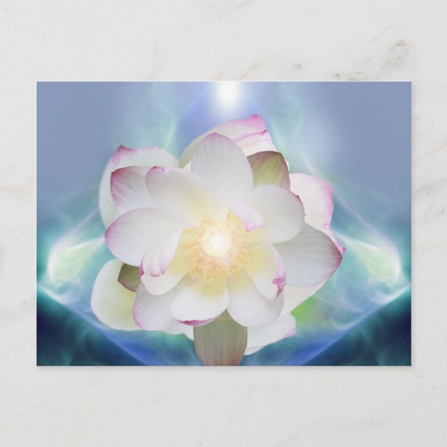 White lotus flower in blue crystal postcard (Front)