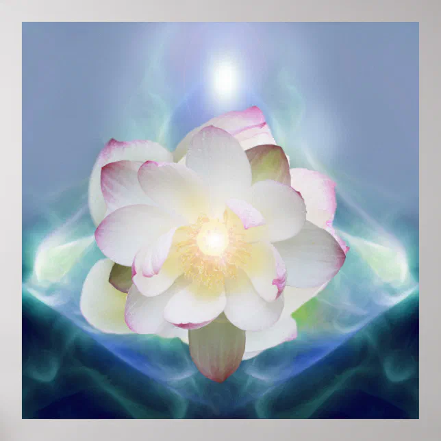 White lotus flower in blue crystal poster | Zazzle
