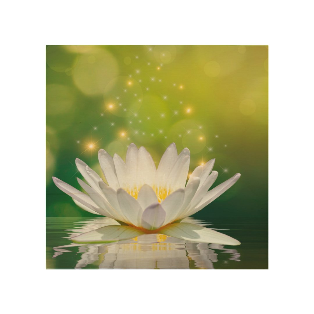 White Lotus Flower Landscape, Zen Wood Wall Art Zazzle