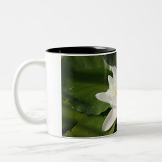 White Lotus Flower Photography   Mug