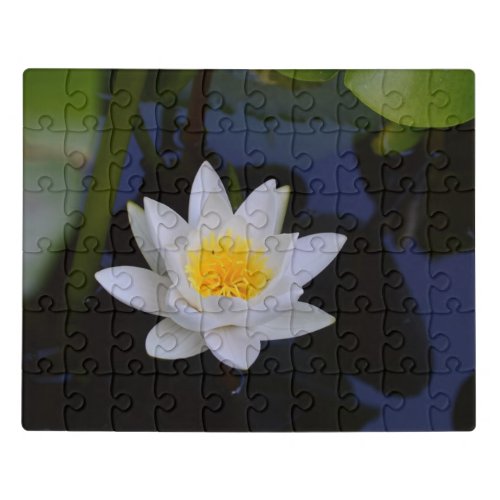 White Lotus Flower Puzzle