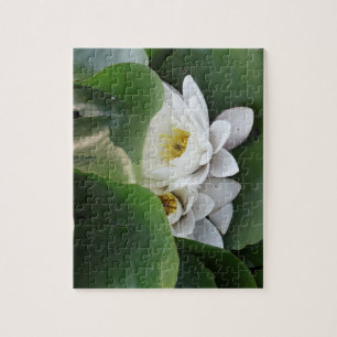 White Lotus Flowers, Botanical Jigsaw Puzzle