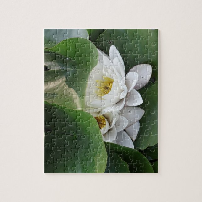 White Lotus Flowers, Botanical  Jigsaw Puzzle (Vertical)
