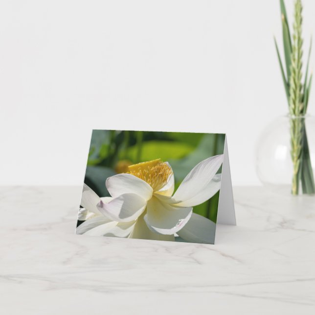 White Lotus Folded Thank You Card (Front)